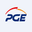 PGE Polska Grupa Energetyczna S.A. Website